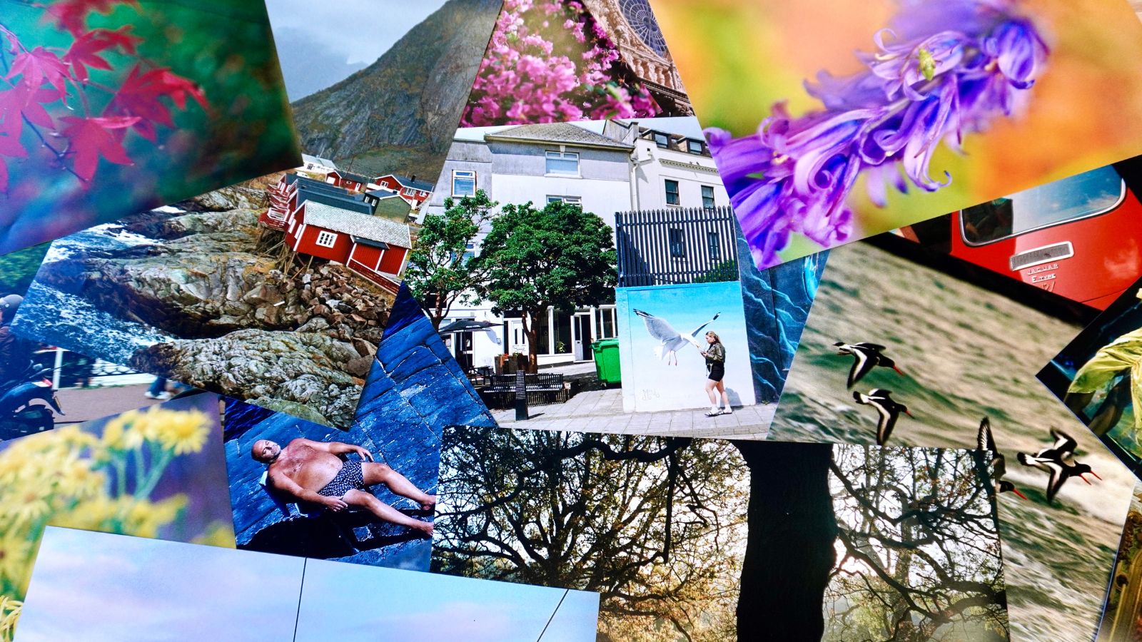 A colourful collage of winning film photographs shot on Kodak UltraMax 35mm film from the Kodak Winter Competition 2025, showcasing a variety of vibrant subjects including landscapes, flowers, wildlife, and street scenes.