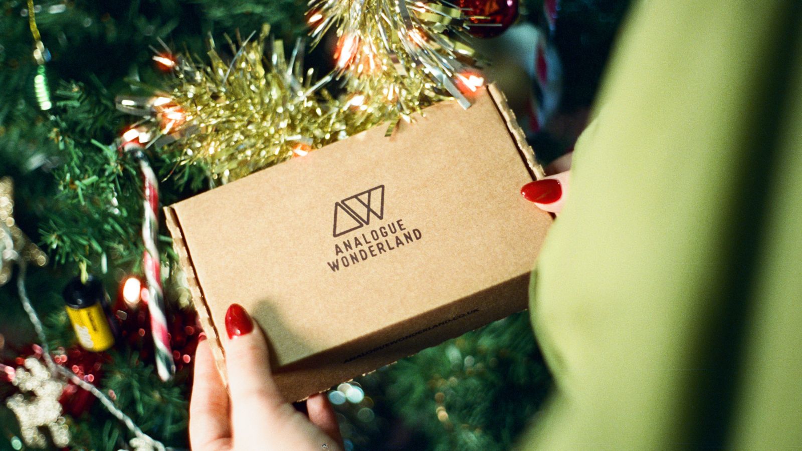 Hands holding an Analogue Wonderland gift box in front of a decorated Christmas tree.