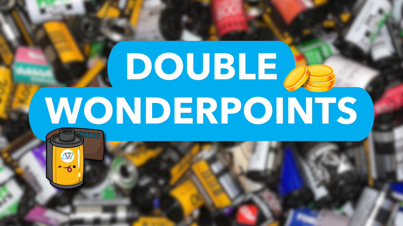 Double WonderPoints 💰💰