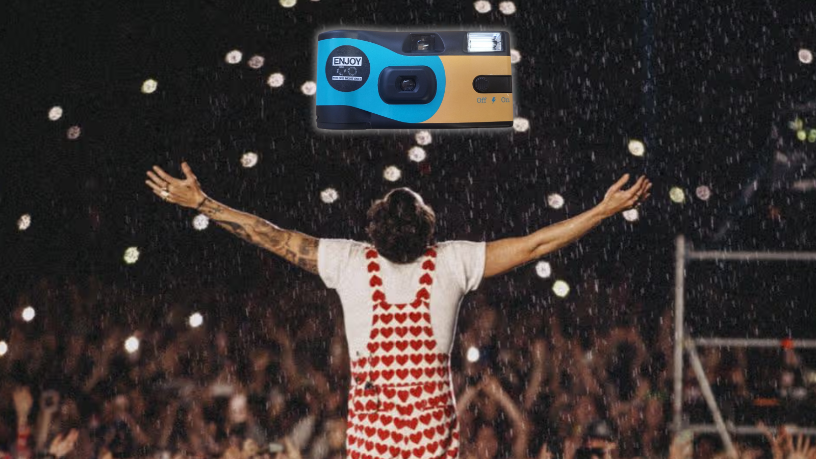 Harry Styles - Disposable Camera Concert