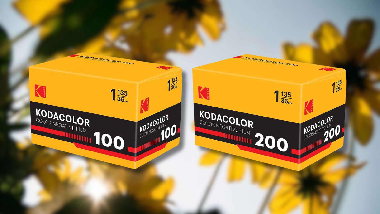 Kodak KODACOLOR 100 and 200 35mm film boxes displayed against a bright, floral background.