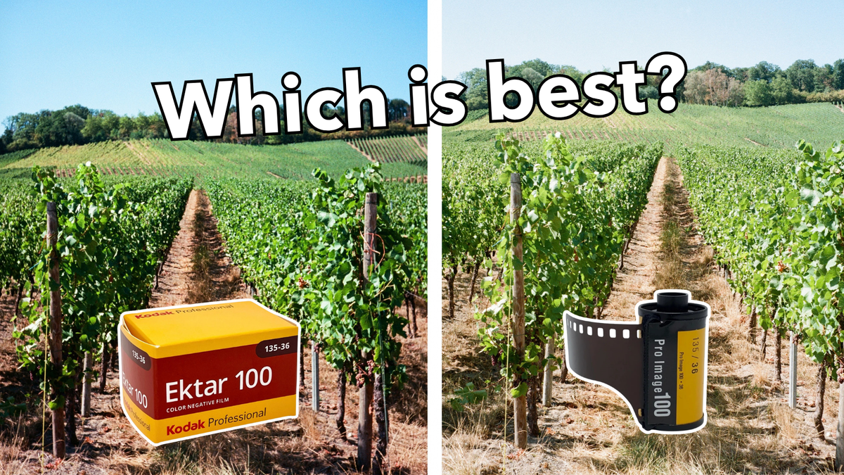 Kodak Ektar vs Pro Image - the Battle of ISO 100 Film