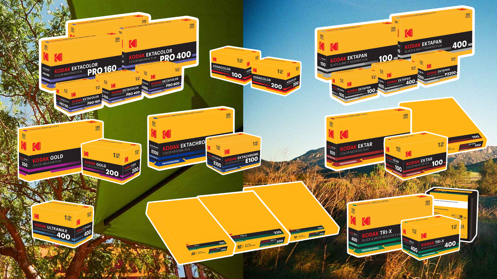 Collection of all Eastman Kodak Films with white borders in front of scenery shot with Kodak Gold 200 and Ultramax 400