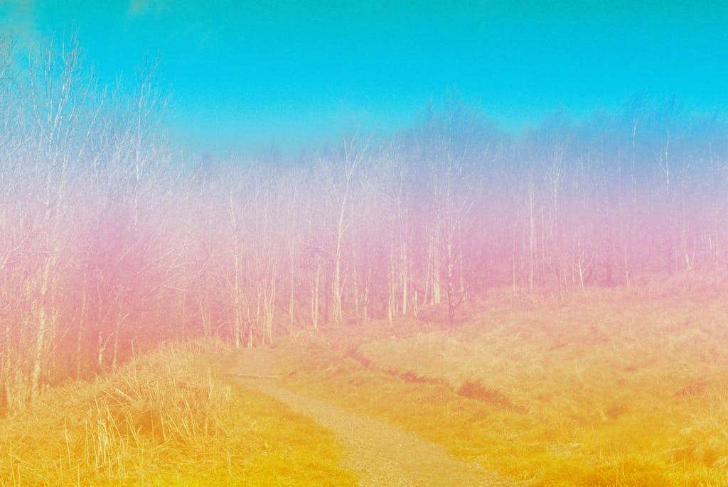 Adventures in Experimental Film Photography; Introducing Yodica - Analogue Wonderland
