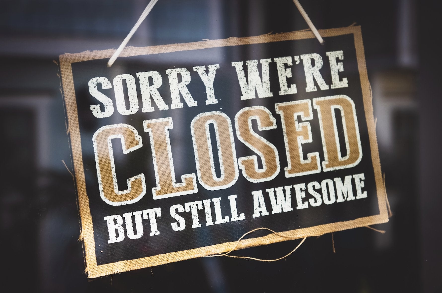 Closed for Christmas: to enjoy family time and shoot lots of film! - Analogue Wonderland