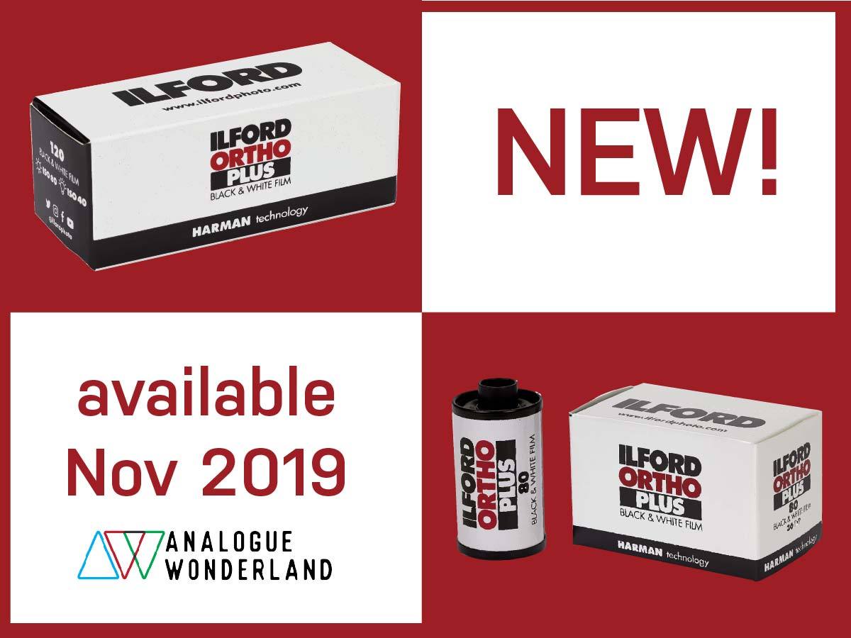 Ilford Announce ORTHO PLUS 80 Film in 35mm and 120 - Analogue Wonderland