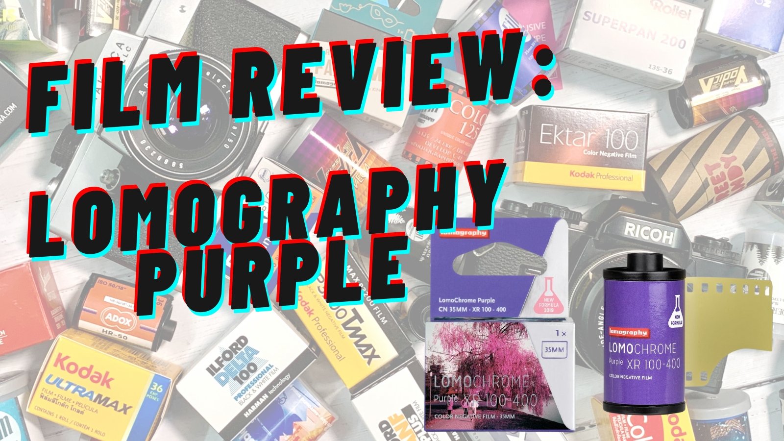 Lomography Purple Review - Analogue Wonderland
