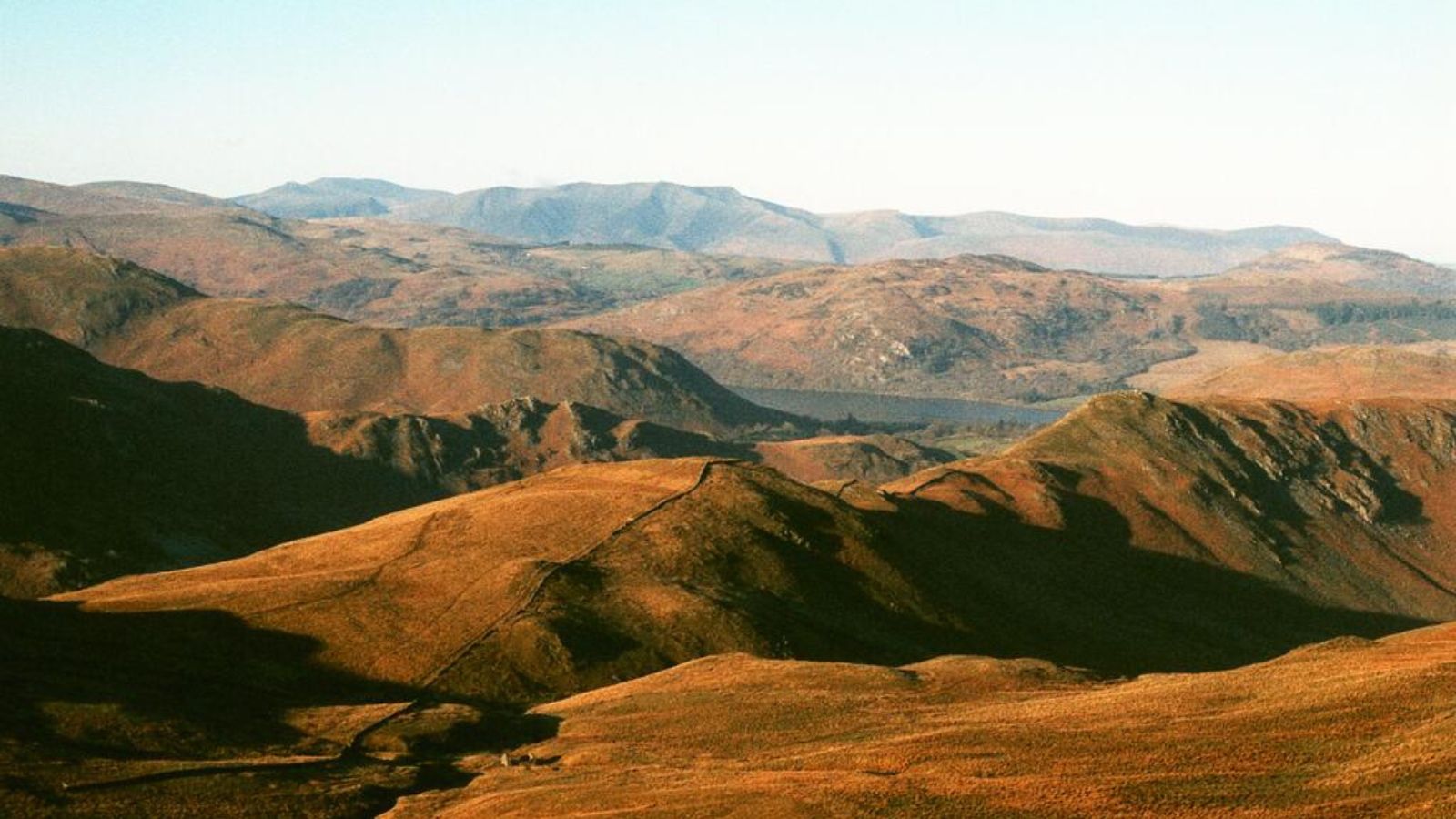 shot by busterchaytor on Harman Phoenix 35mm film