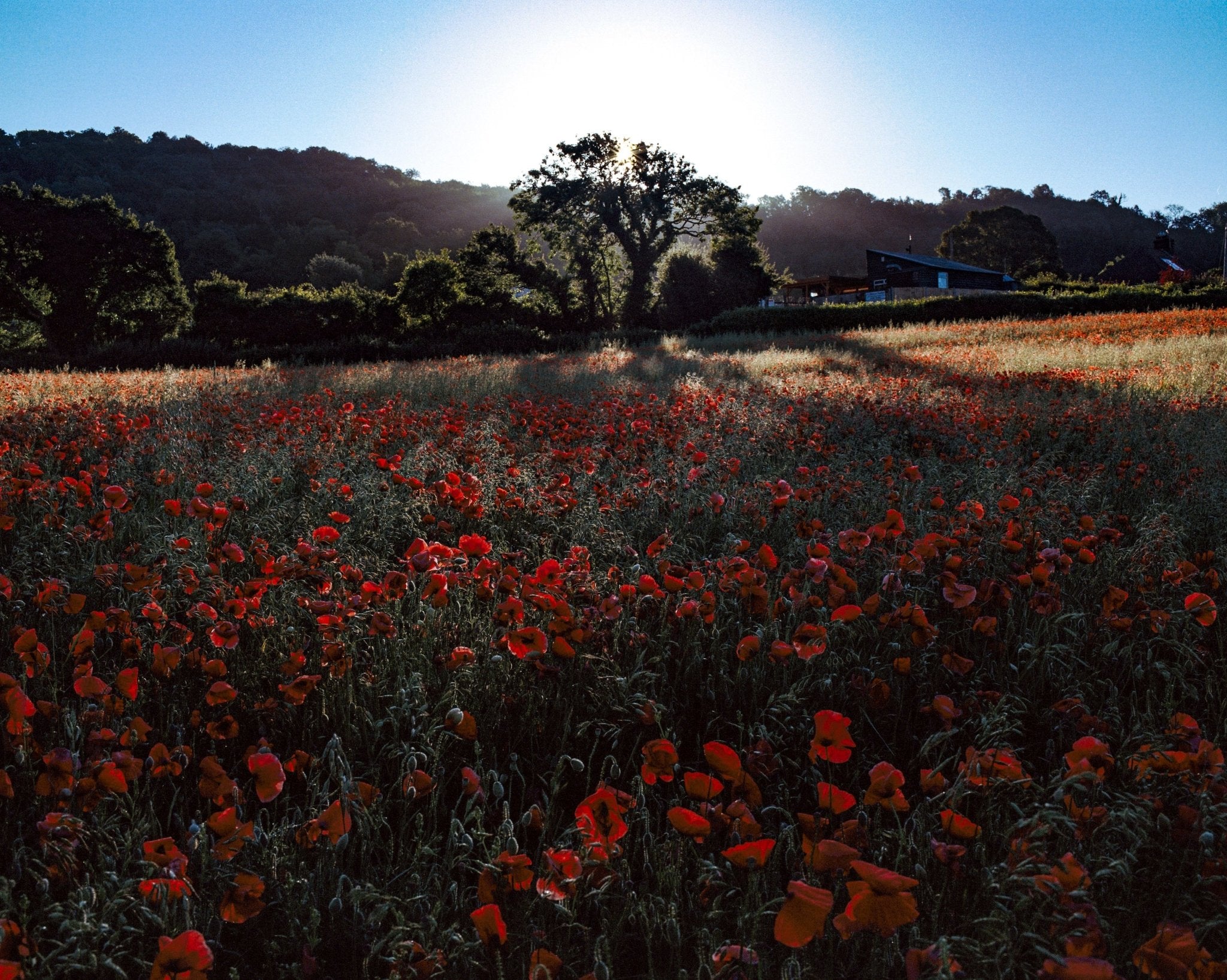 The Winning Film Photos for Kodak Summer Competition! - Analogue Wonderland