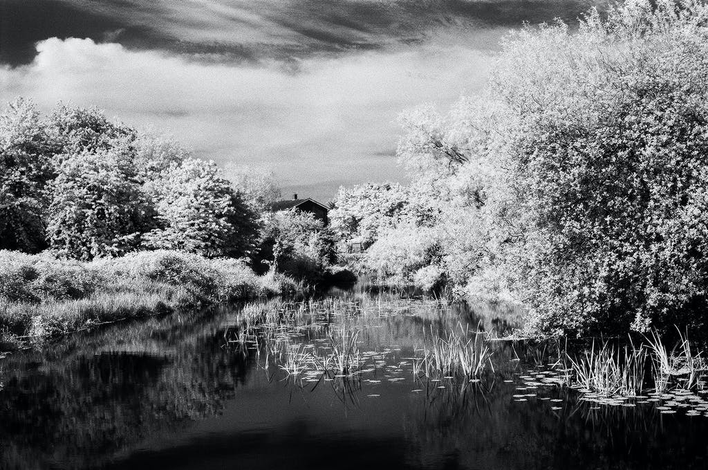 Infrared Film | Analogue Wonderland