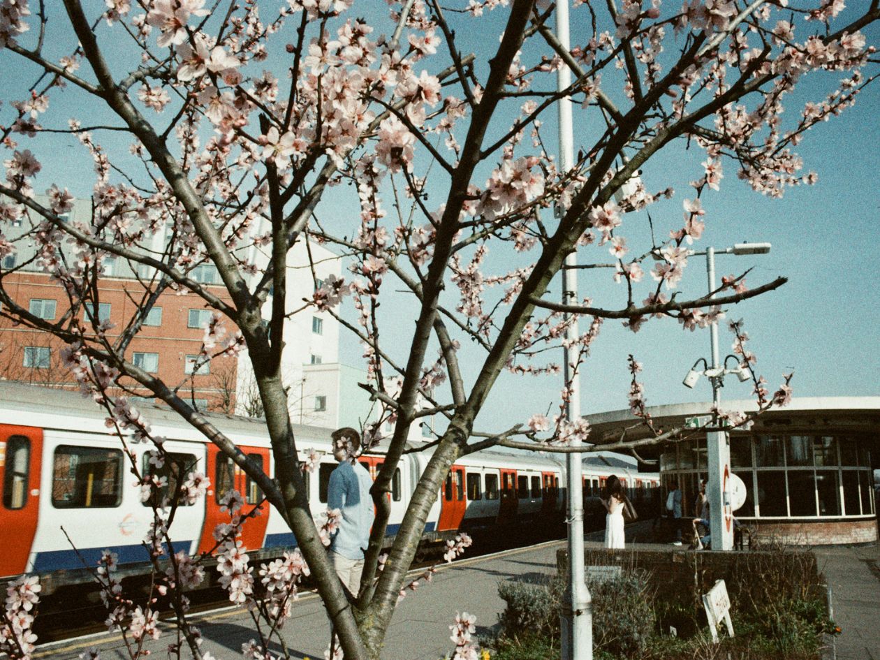 AgfaPhoto Color 400 - 35mm Film - Anne Maningas Sample Image 1