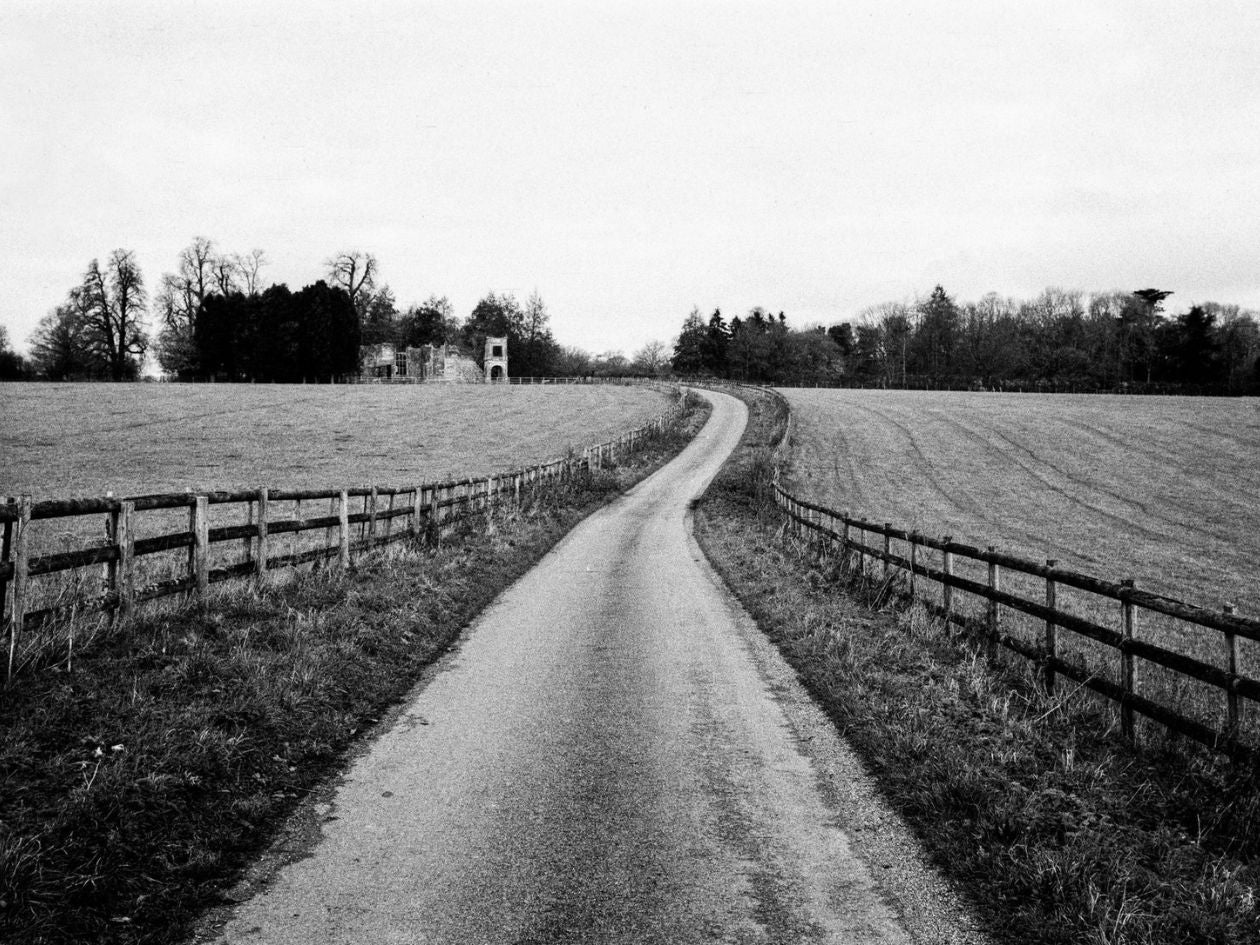 AnalogHeld Old Shutter Hand - 35mm Film - Sample Image 1 Alex Hayes