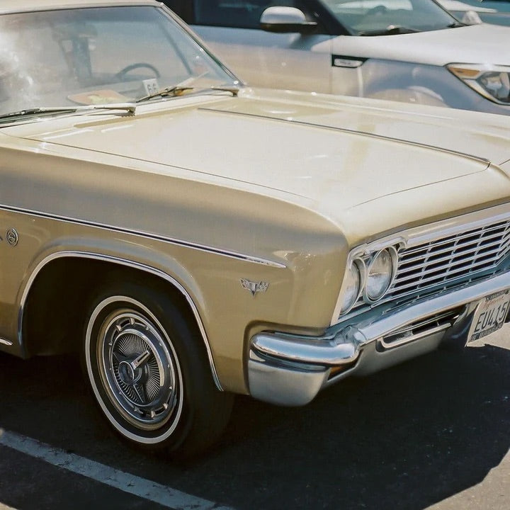 Candido 400 35mm Film - Sample Image 2