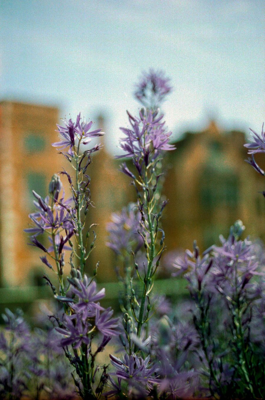 Candido 400 - 35mm Film - Sample Image 2 - Gary Smith