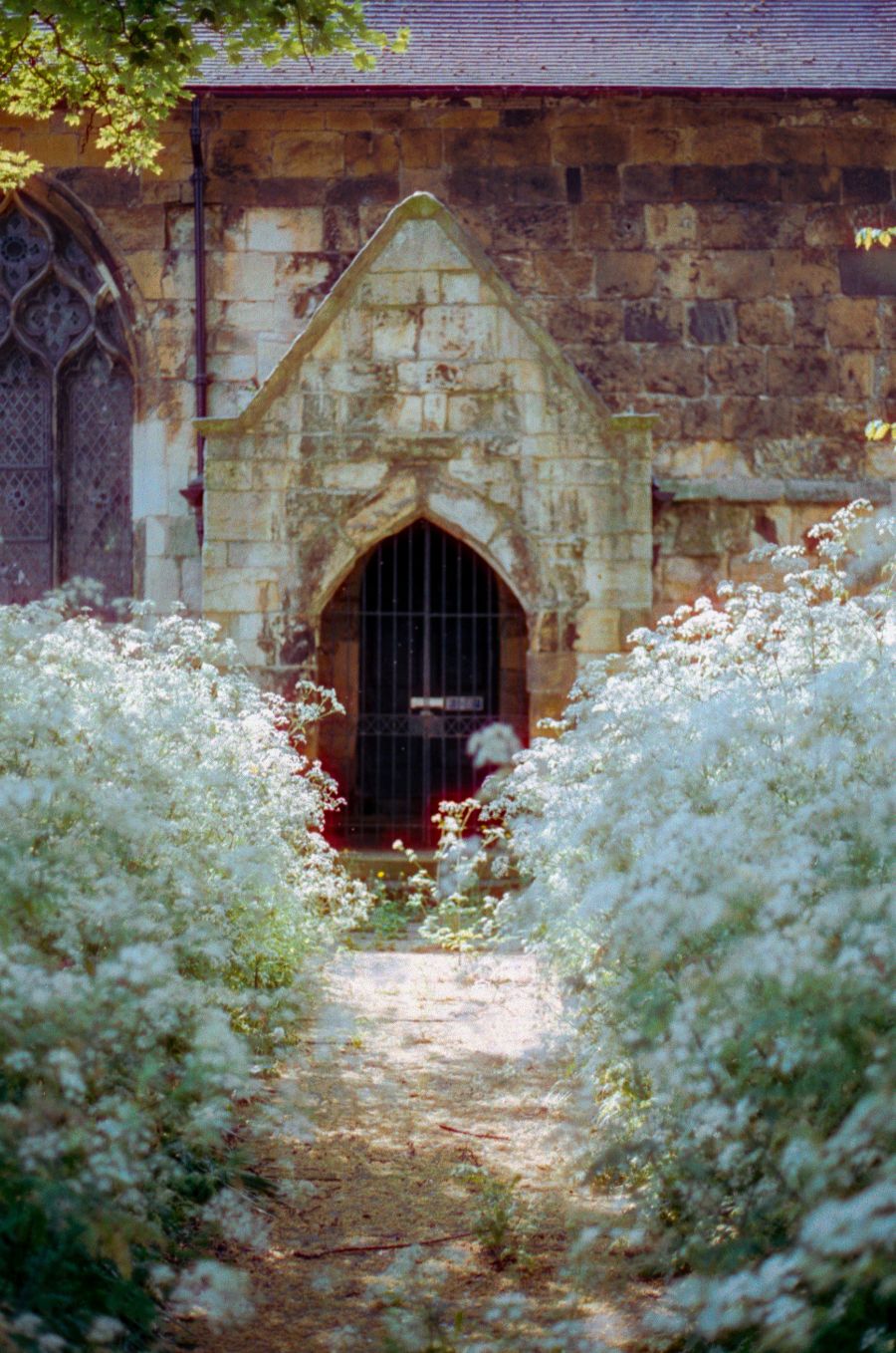 Candido 400 - 35mm Film - Sample Image 3 - Gary Smith