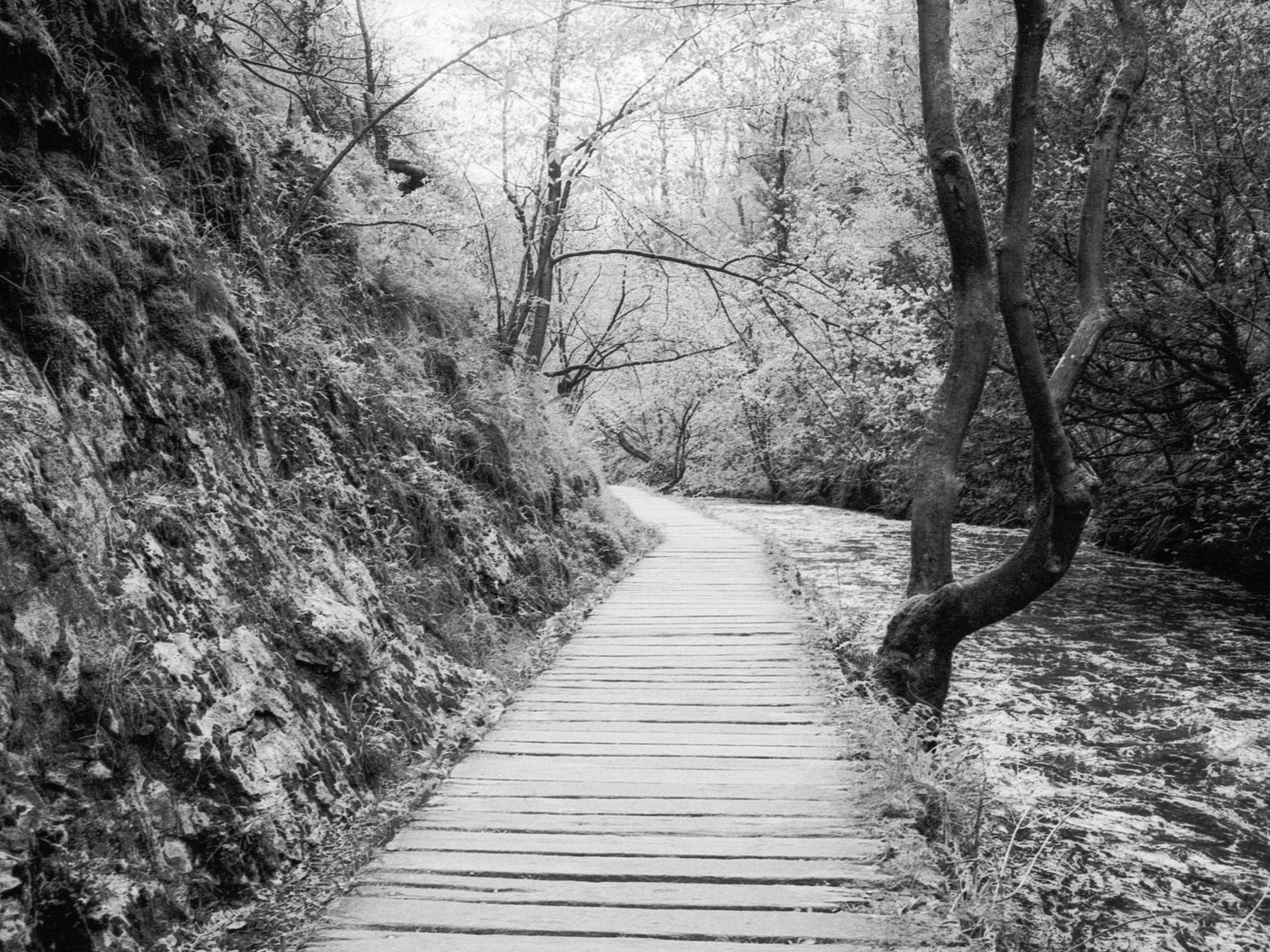 CineMot Coimbra 250D - 35mm Film - Sample Image 4 - Adam Stringer