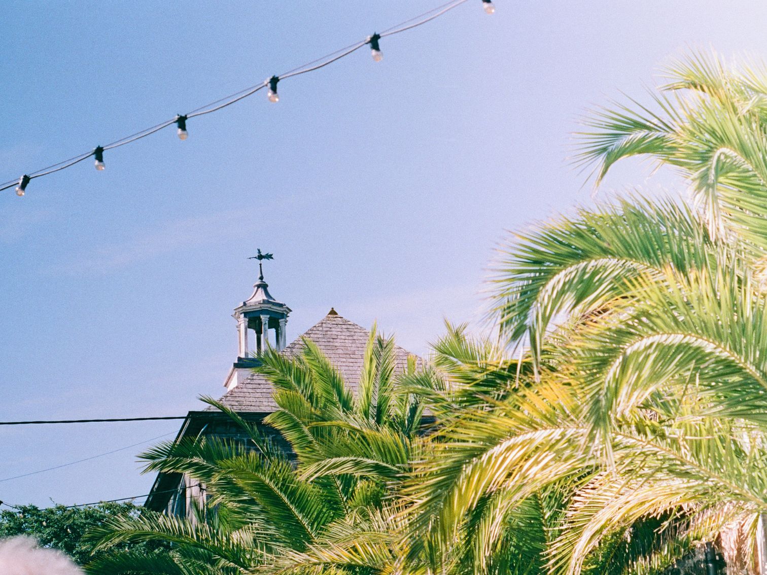 A church steeple peeks over palm trees under string lights and a clear blue sky.