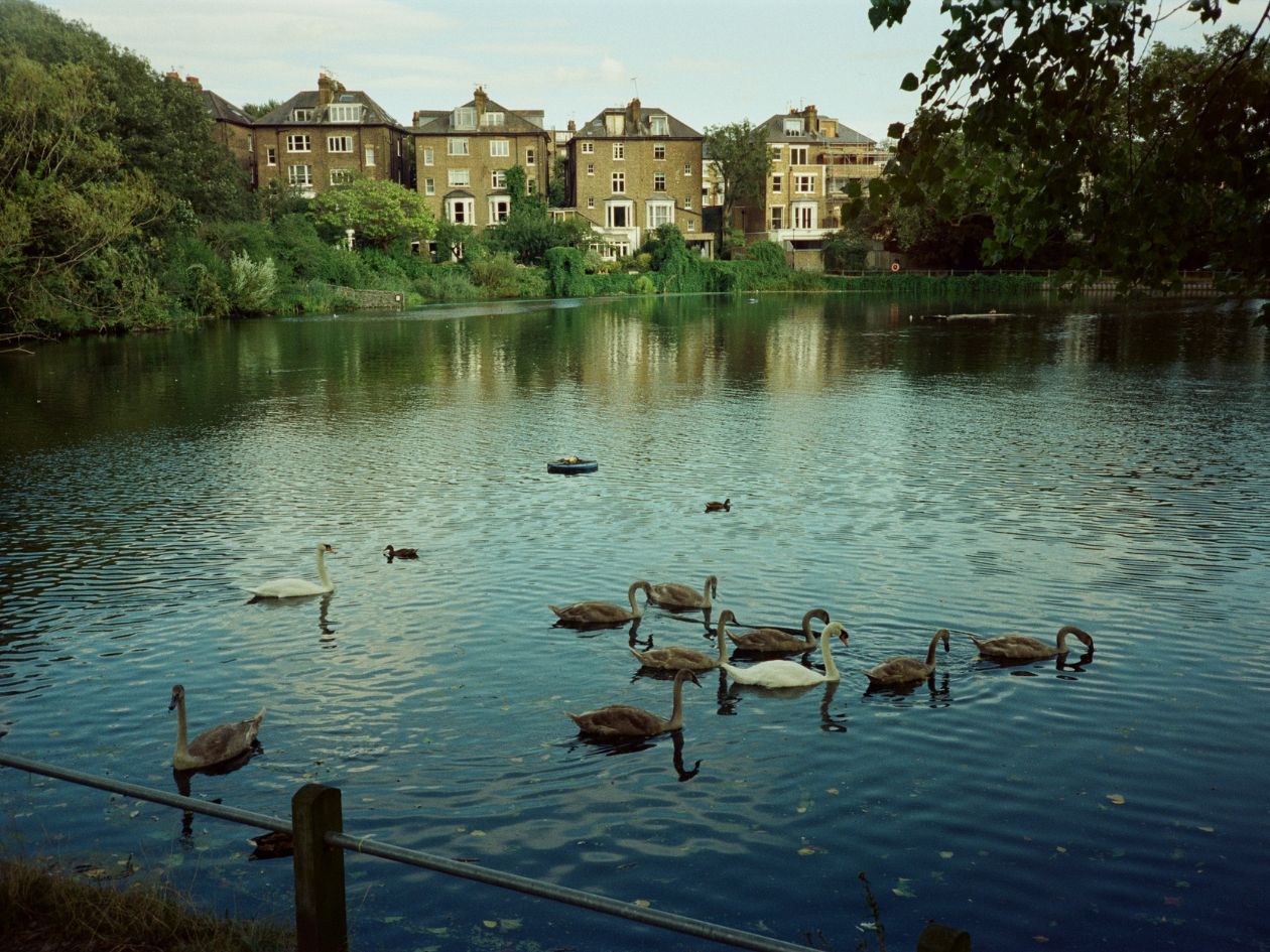 Cinemot Minho - 35mm Film - Sample Image 8 - Ana Blumenkron