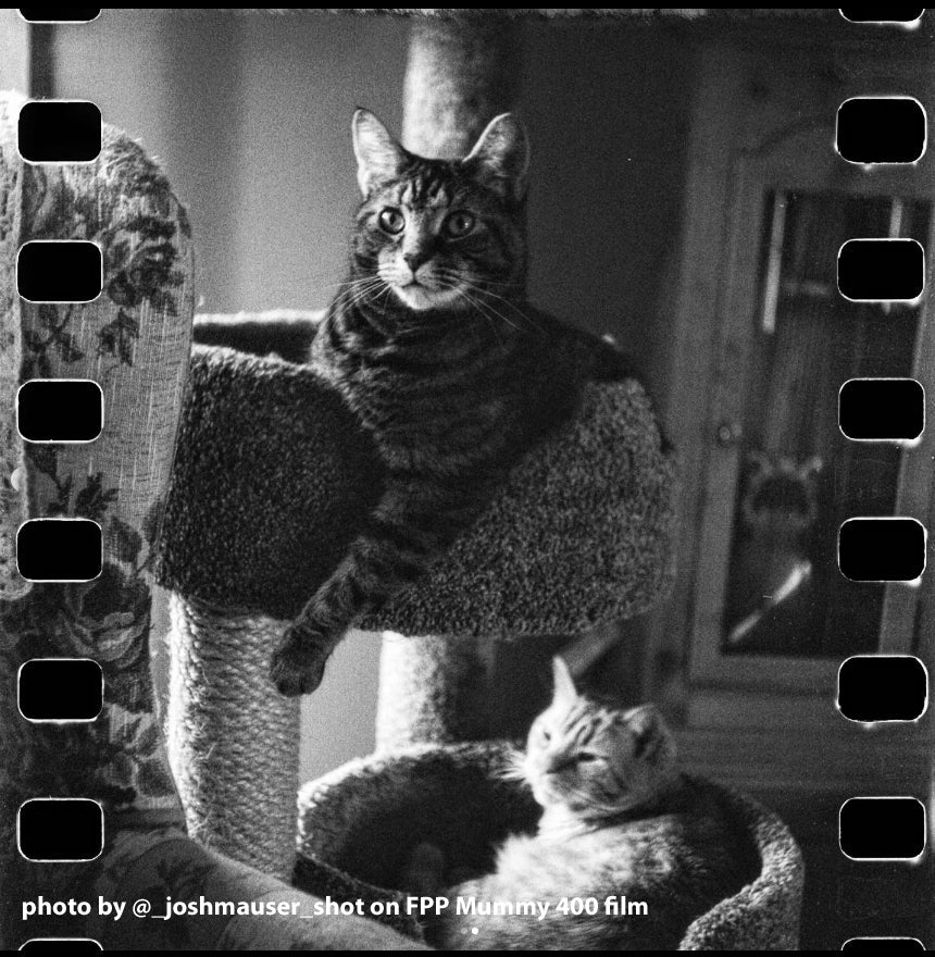 FPP Mummy 120 Film Sample Image 1