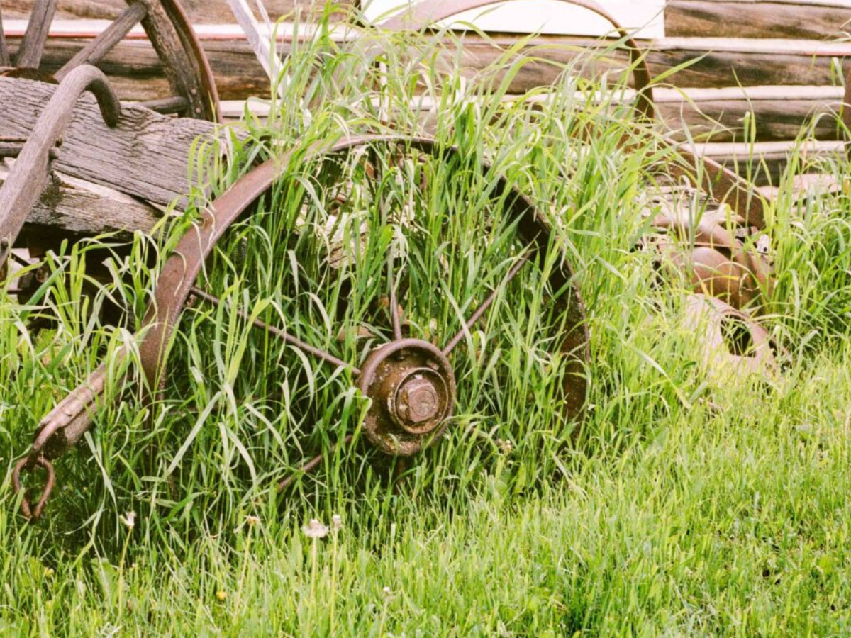 A close-up outdoor shot of a large, rusted metal wagon wheel partially buried in tall green grass, with weathered wooden logs and additional old farm equipment in the background.