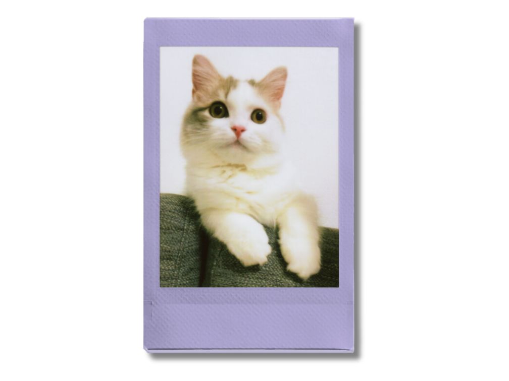 Fujifilm Instax Mini Film - Soft Lavender - Sample Image 1
