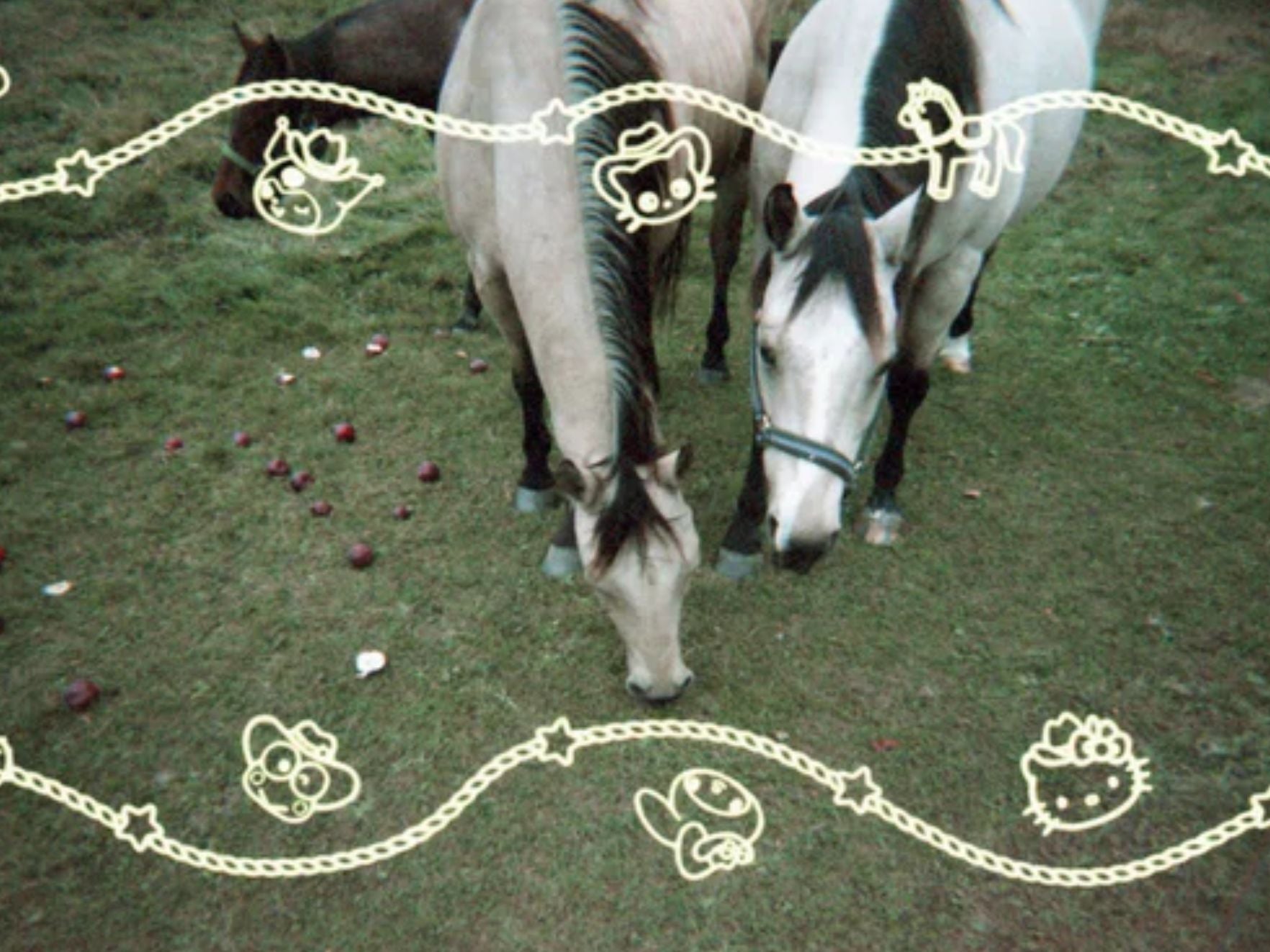 Hello Kitty & Friends Howdy Partner 35mm Film - Sample Image 4