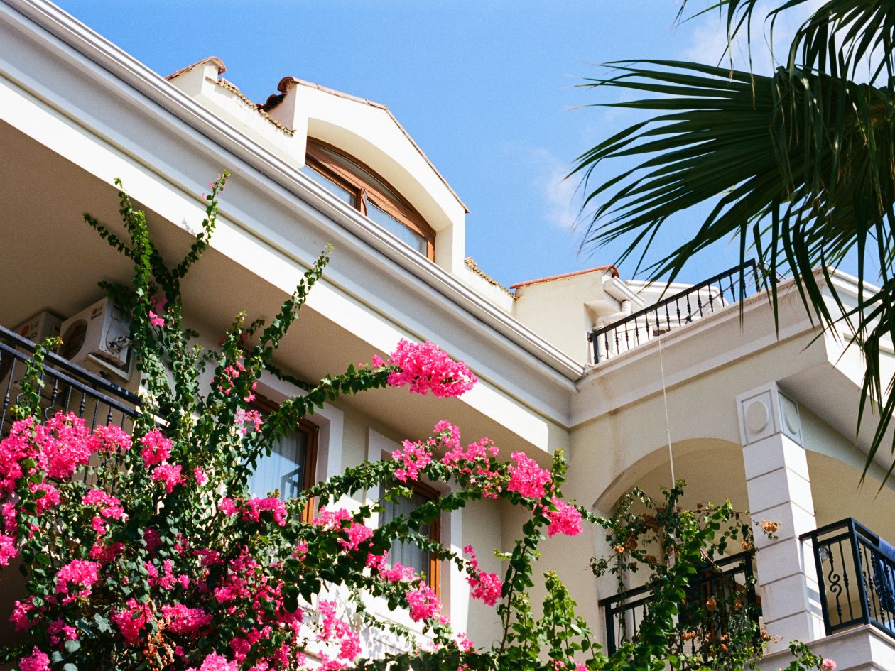 Kodak Ektar 100 - 35mm Film