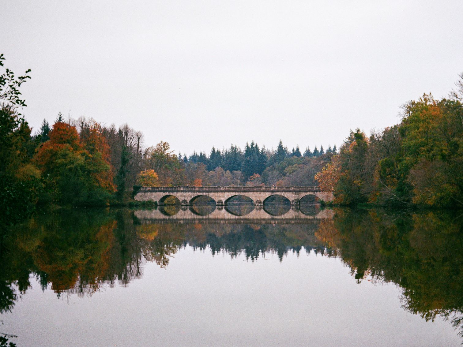 Kodak Gold - 120 Film - Chiara di-Stefano - Sample Image 1