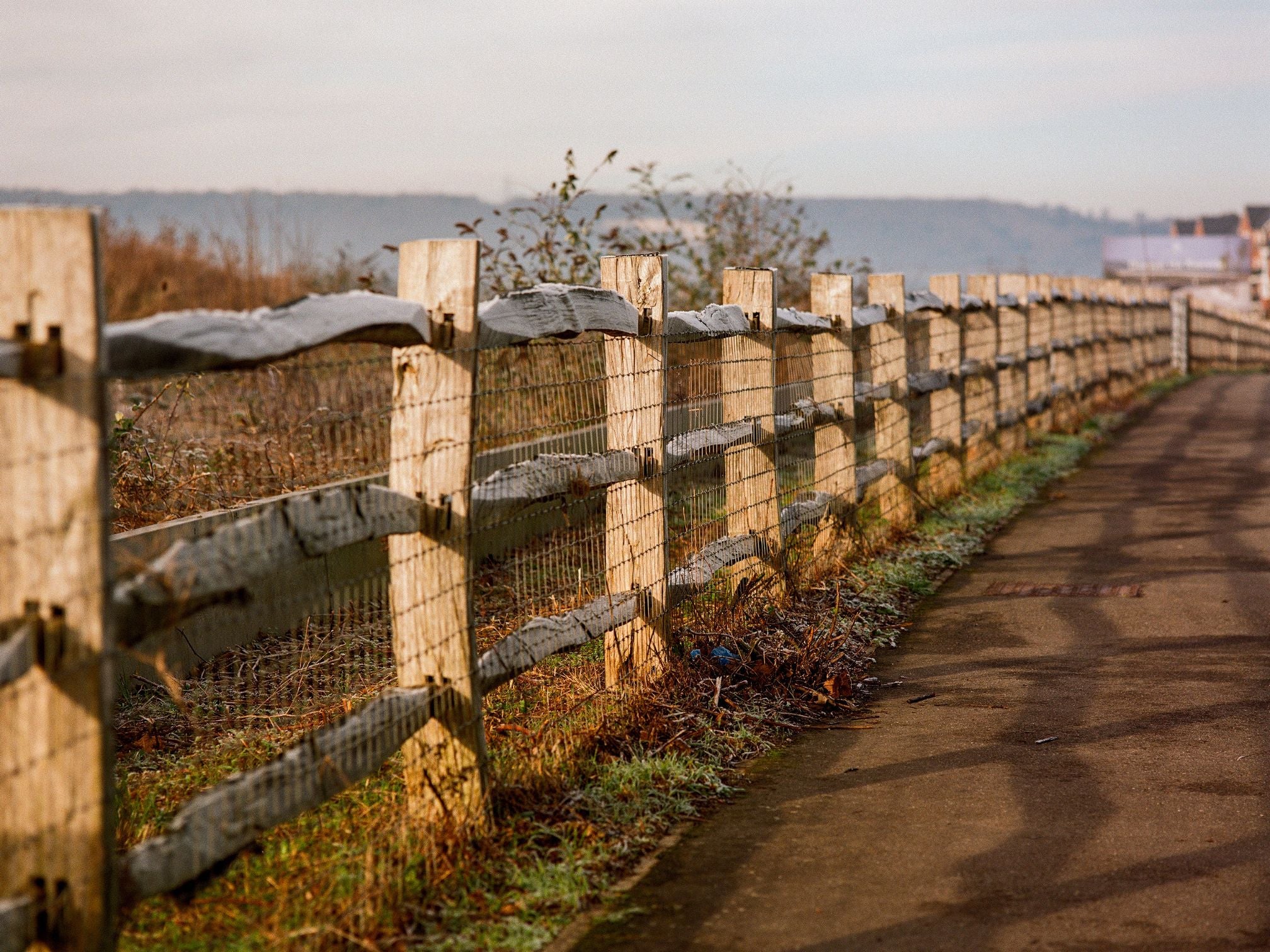 Kodak Gold - 120 Film - Matt Richardson - Sample Image 7
