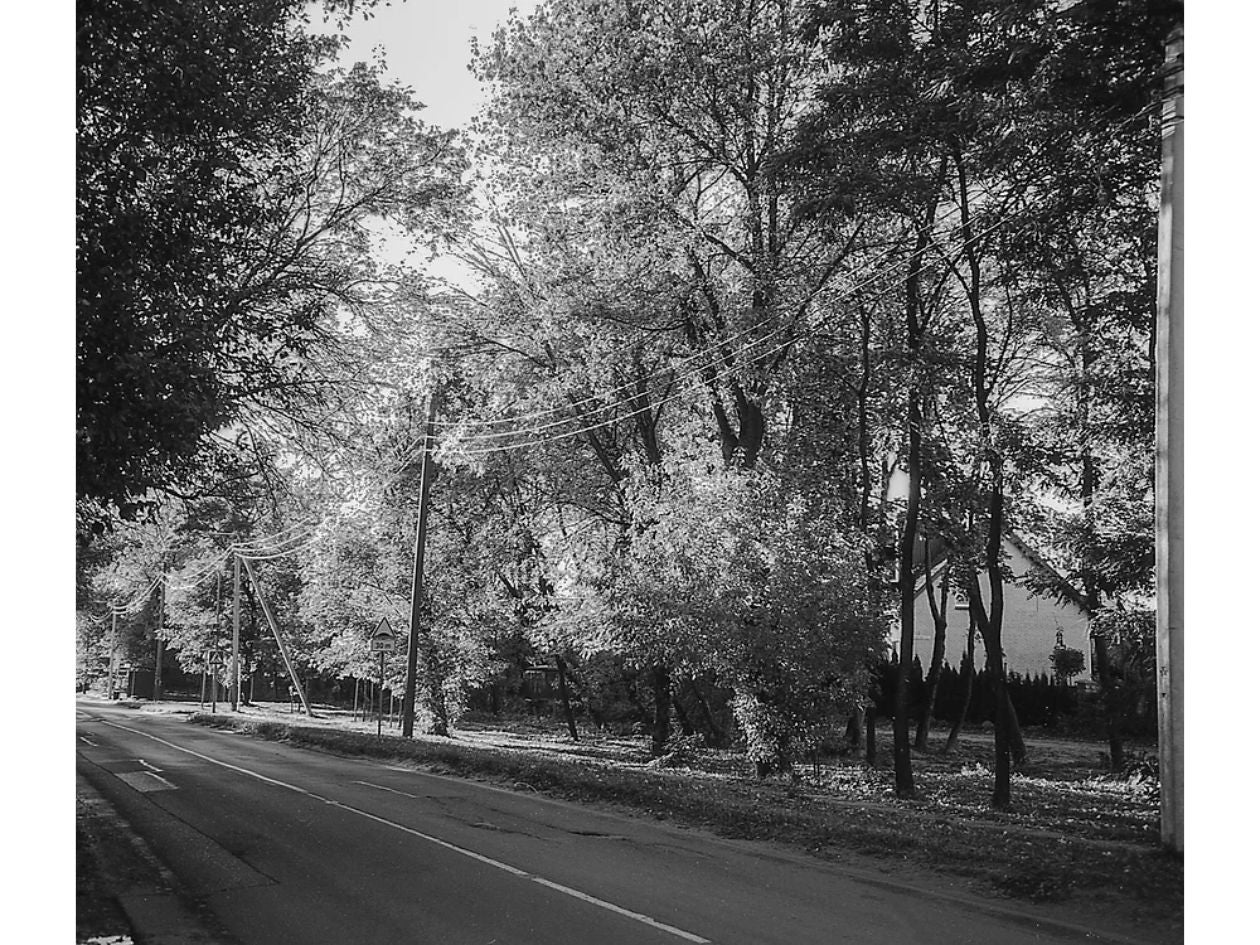 NoColorStudio Experimental No.25 - 35mm Film - Sample Image 1