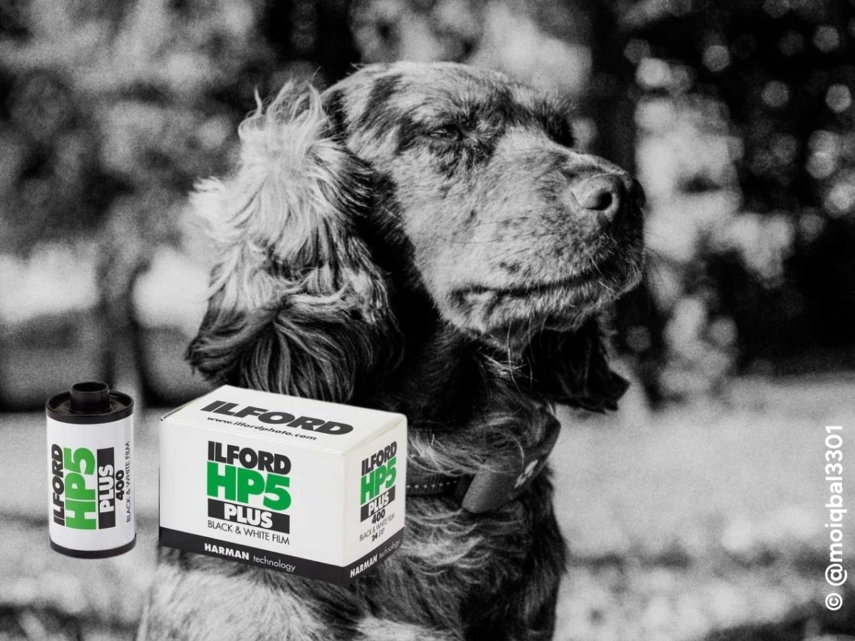 'Perfect for Beginners' 35mm Film Bundle