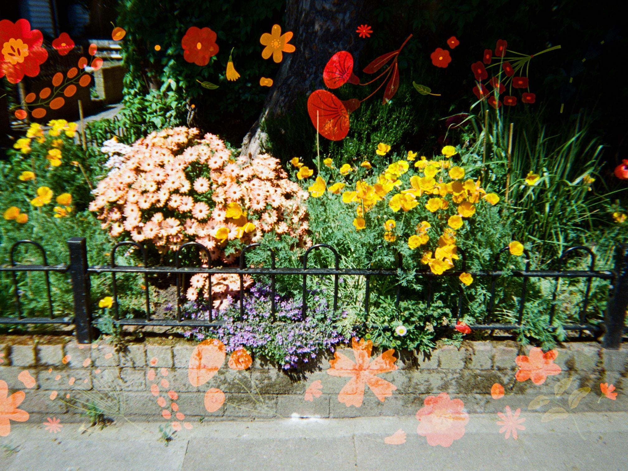 Reto Blossom 400 - Disposable Film Camera - Ana Blumenkron Sample Image 2