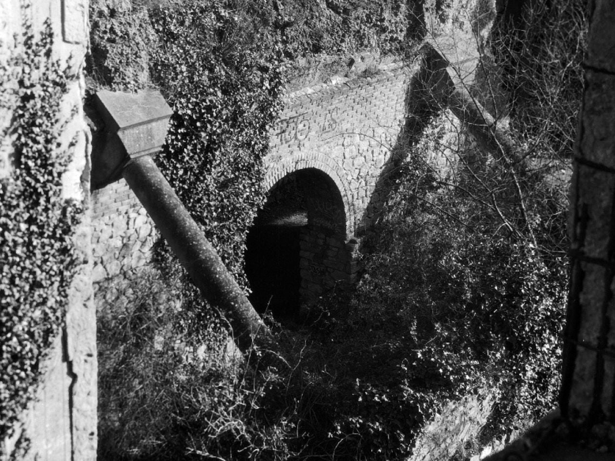 Washi K - 120 Film - Sample Image