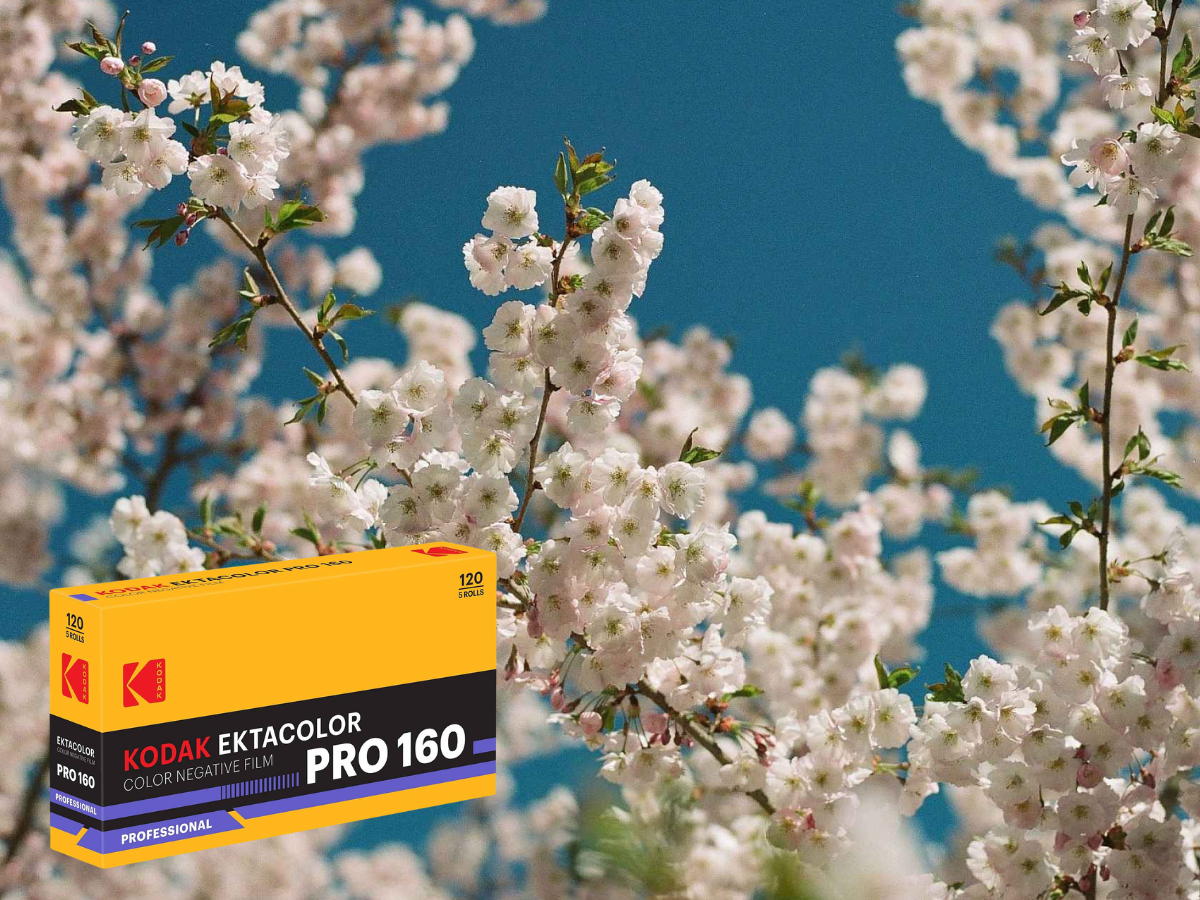 Kodak Ektacolor Pro 160 film box with cherry blossoms in the background
