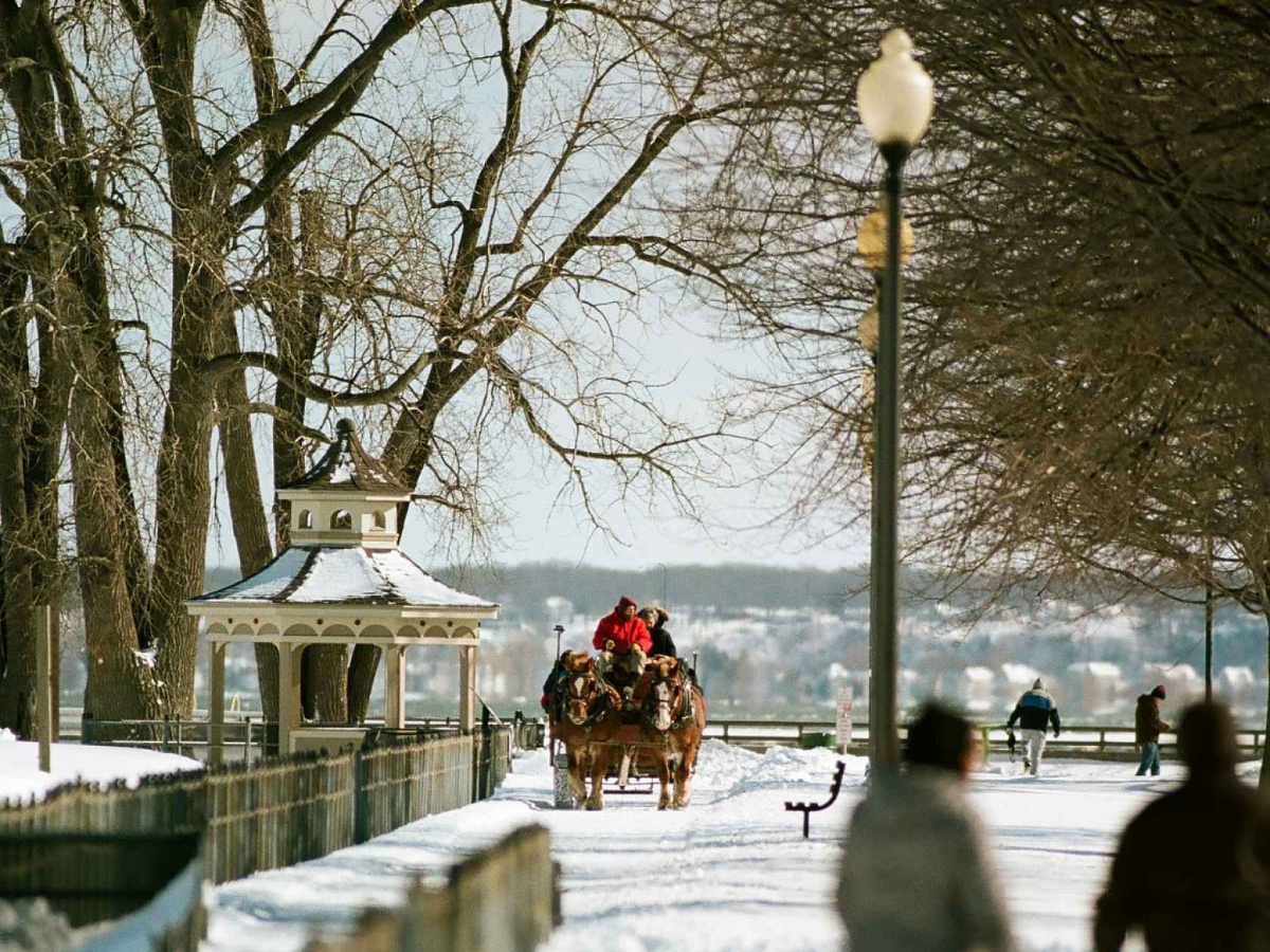 Winter scene with a horse-drawn carriage on a snowy path near a gazebo.