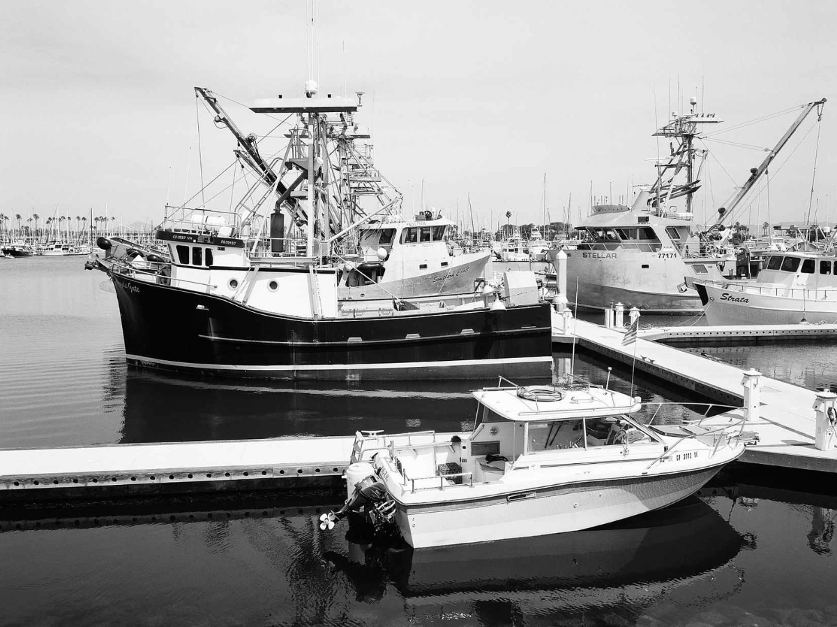 Black and white photograph of boats docked at a marina