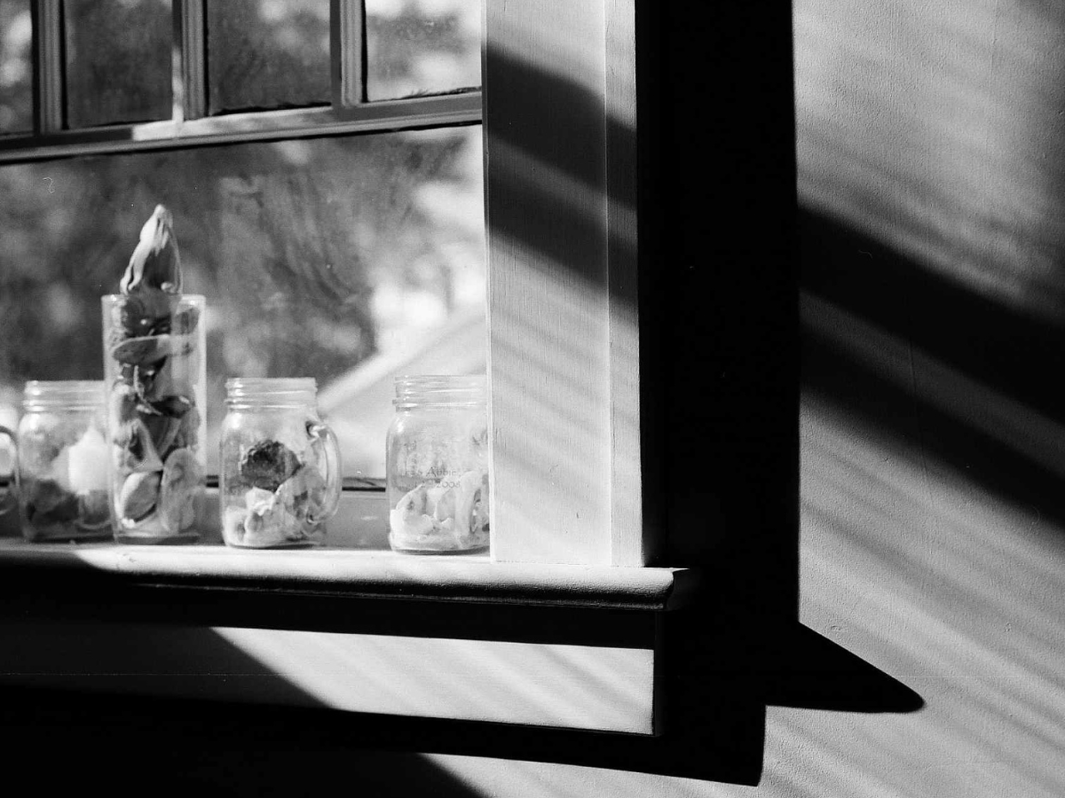 Jars with plants on a windowsill with sunlight casting shadows