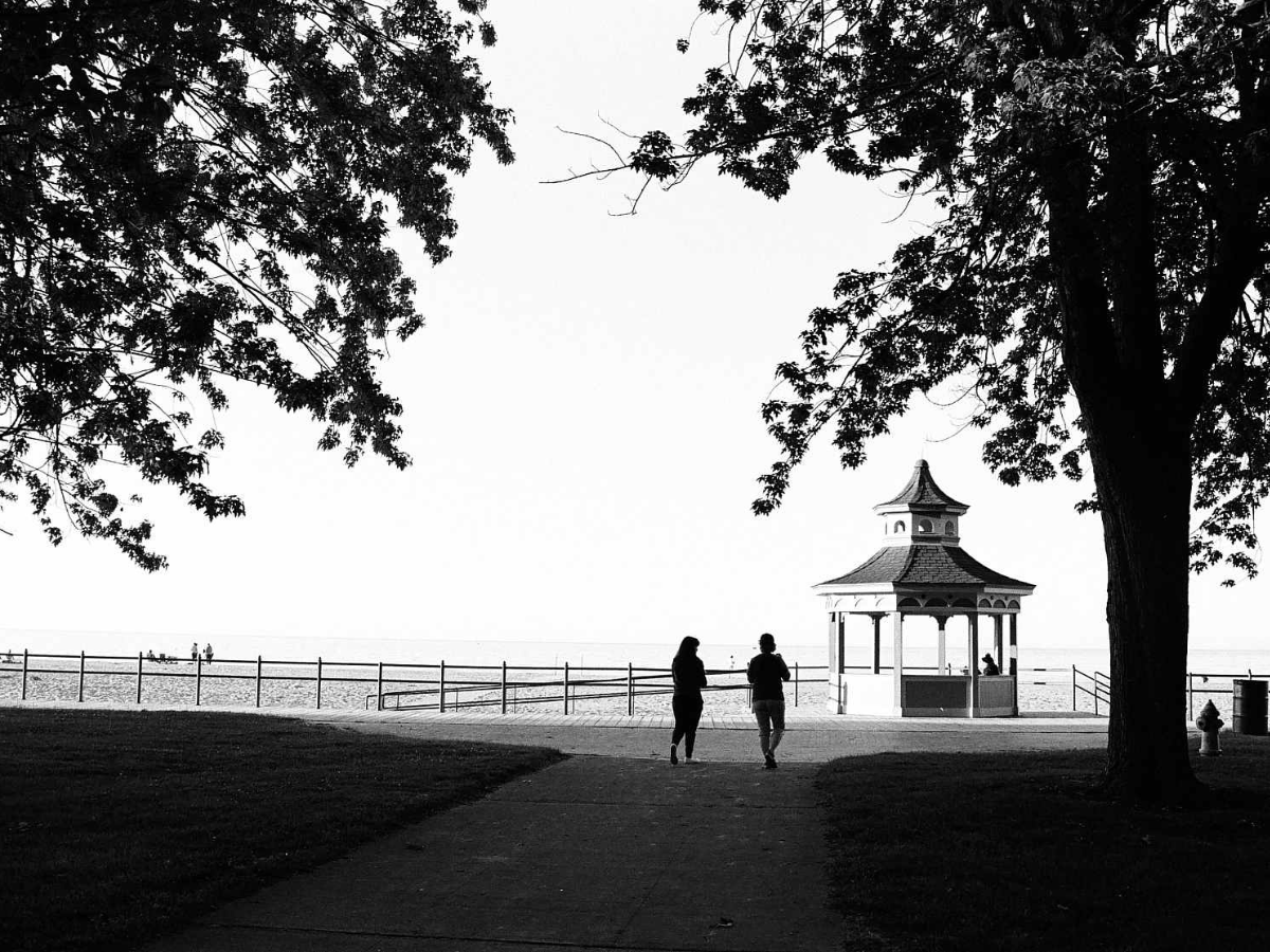 Two people walking on a path with a gazebo in the background, framed by tree branches.