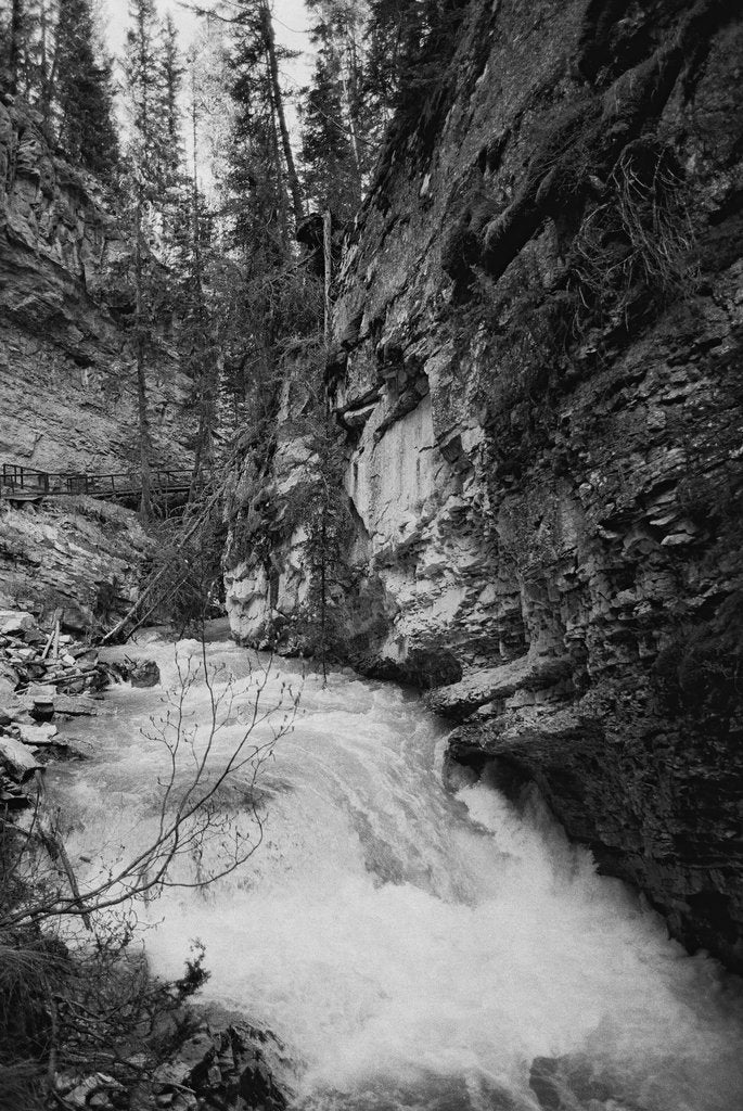 CineStill DF96 B&W Film Developer 1Ltr - Monobath - Analogue Wonderland - 2