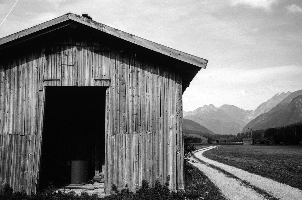 Ferrania P30 - 35mm Film - Analogue Wonderland - 2