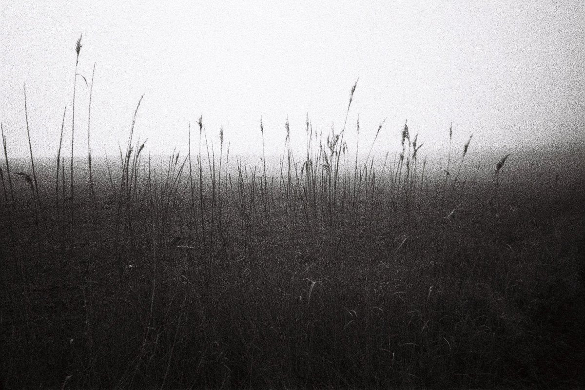 Foma Retropan 320 Film - 120 Film - Analogue Wonderland - 4
