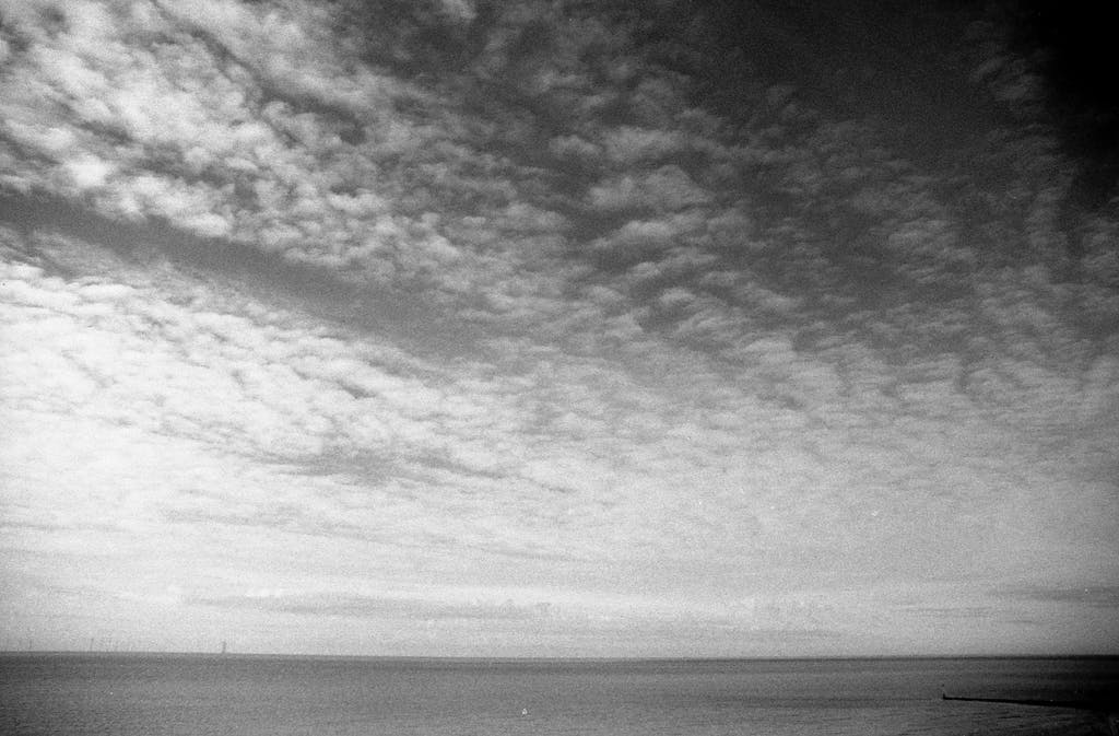 Fomapan 100 - 4x5 Film - Analogue Wonderland - 2