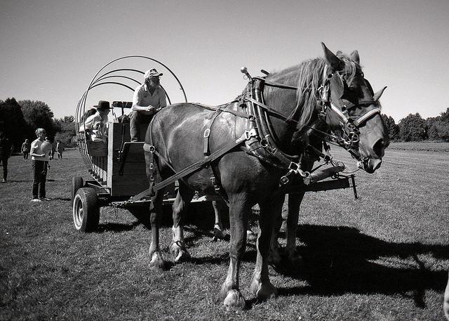 FPP Derev Pan 100 35mm Film - B&W - Analogue Wonderland - 2