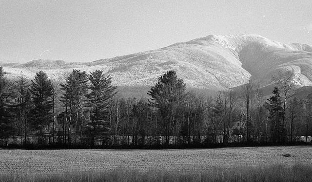 FPP Derev Pan 200 - 35mm Film - Analogue Wonderland - 2