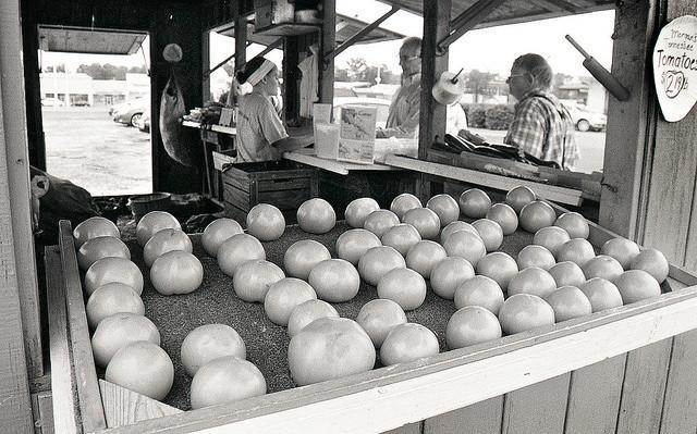 FPP Svema Foto 400 - 35mm Film - Analogue Wonderland - 2