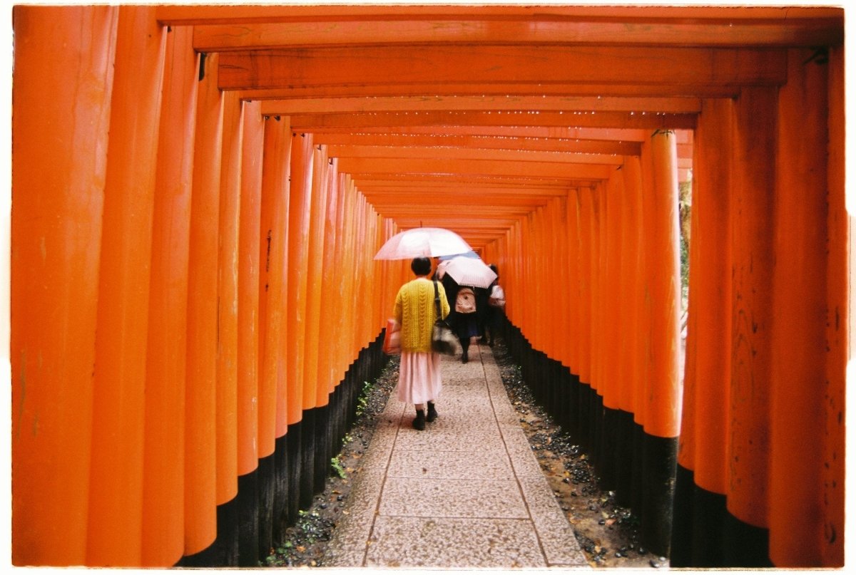 Fujicolor 100 - 35mm Film - Analogue Wonderland - 2