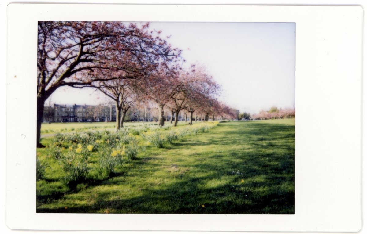 Fujifilm Instax Mini Film - Colour 2-pack - Analogue Wonderland - 2