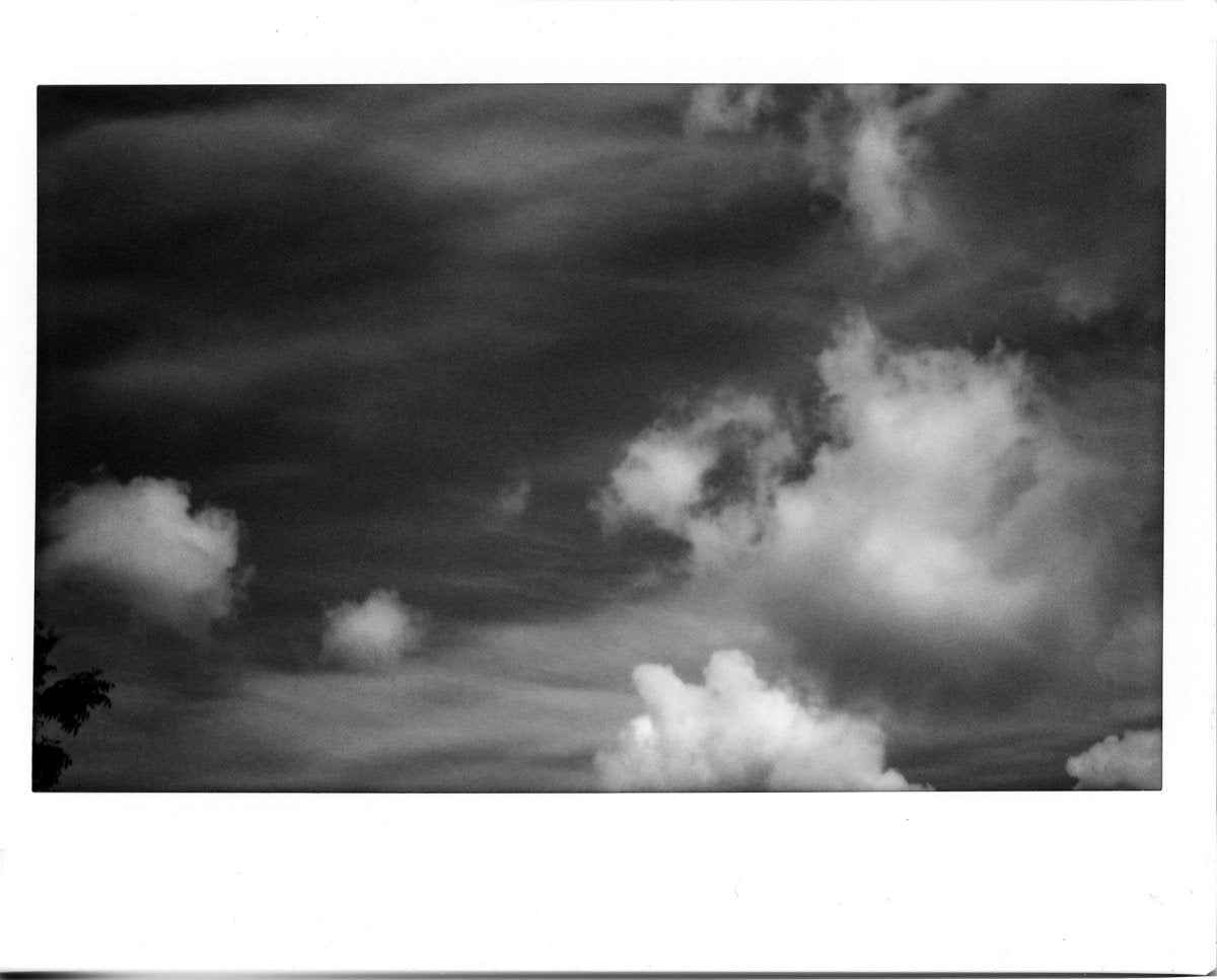 Fujifilm Instax Wide Film - B&W - Analogue Wonderland - 2