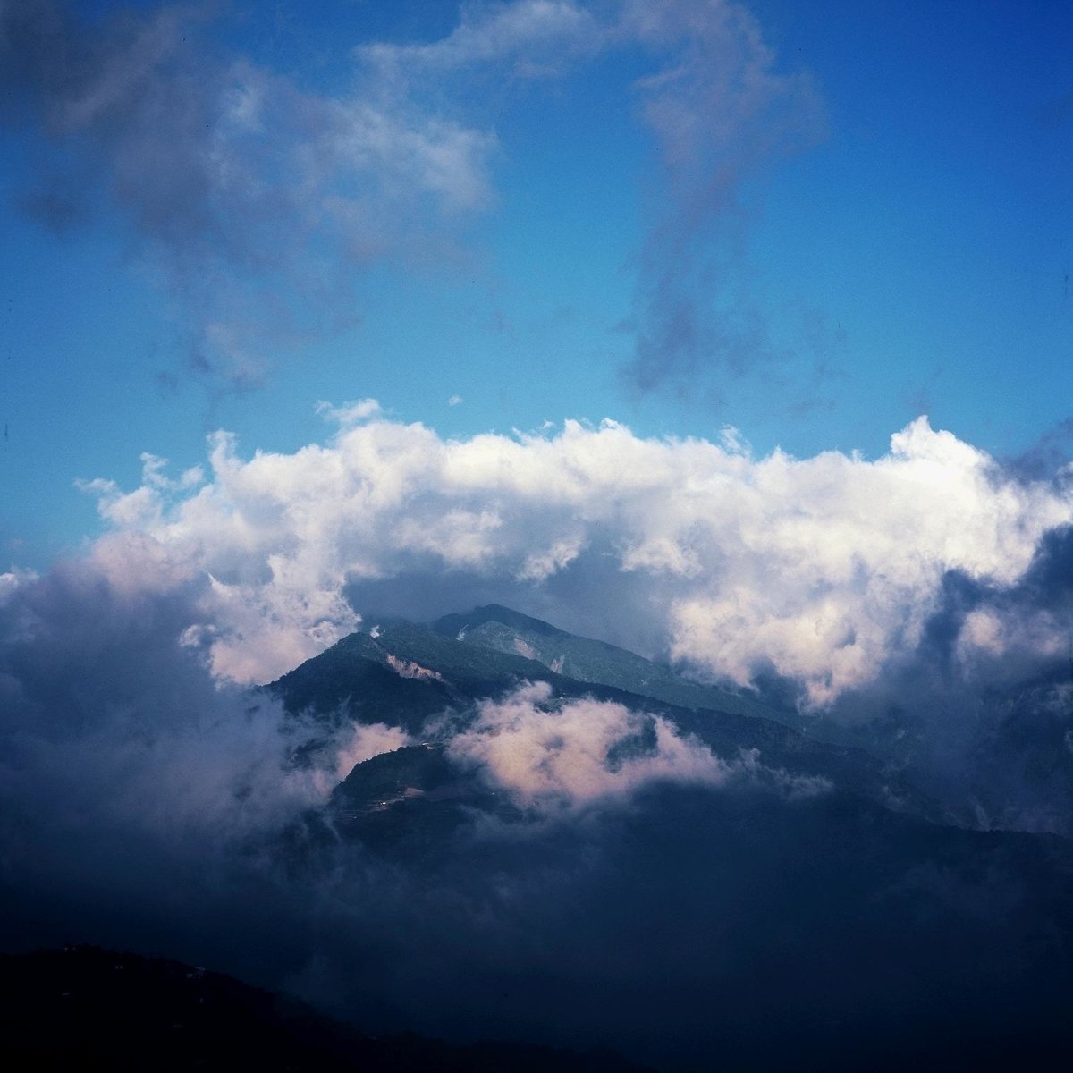 Fujifilm Provia 100F - 120 Film - Analogue Wonderland - 3