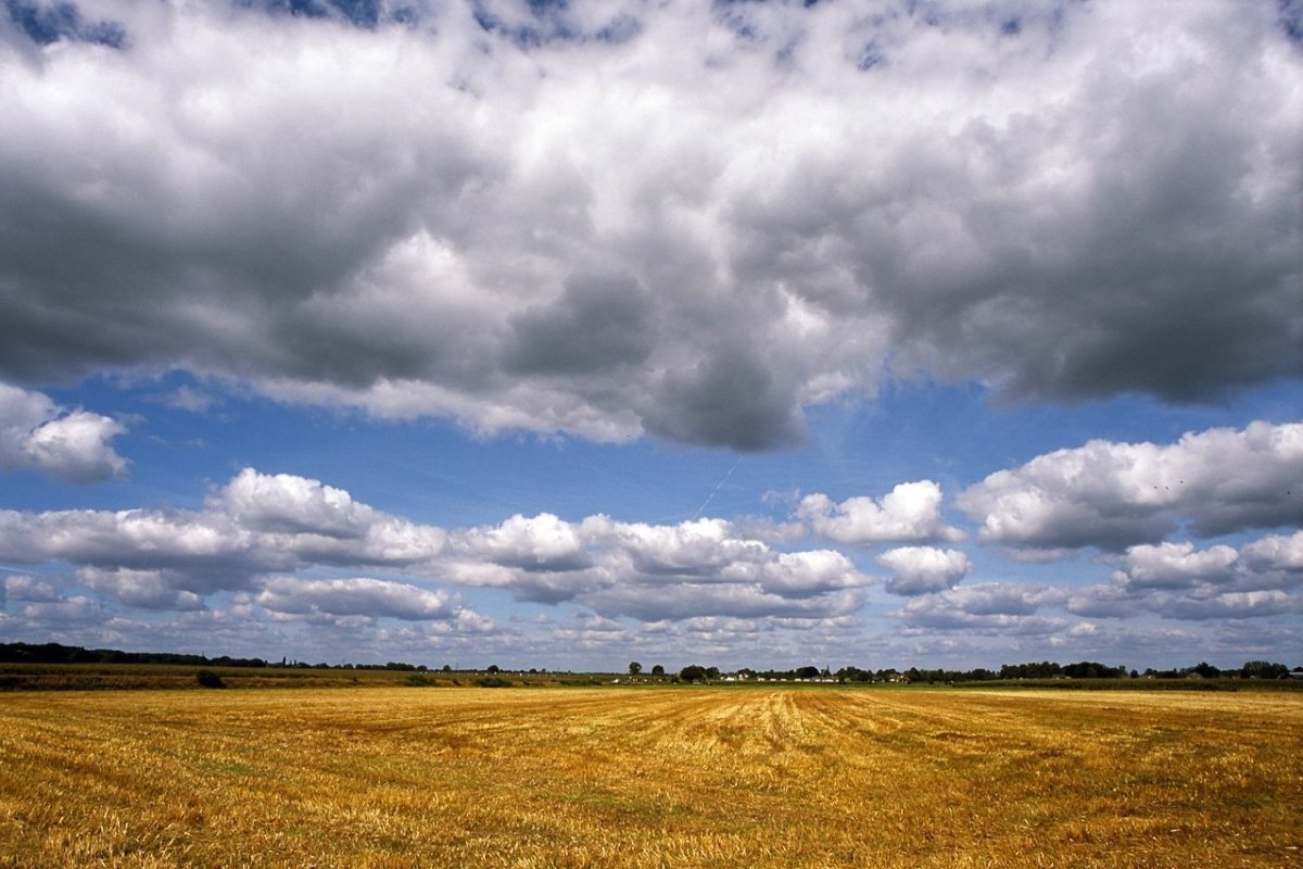 Fujifilm Provia 100F - 35mm Film - Analogue Wonderland - 2